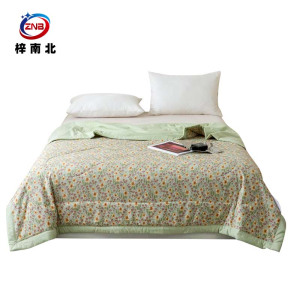 梓南北 抑菌印花夏被空调被 200*230cm 条