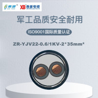 秦源牌 ZR-YJV22-0.6/1KV-2*35mm² 阻燃铜芯钢带铠装电力电缆 元/米 定制商品 联系客服