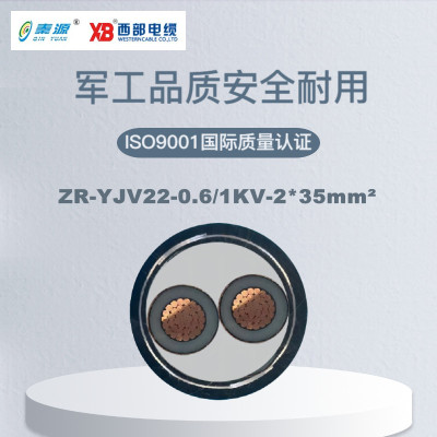 秦源牌 ZR-YJV22-0.6/1KV-2*35mm² 阻燃铜芯钢带铠装电力电缆 元/米 定制商品 联系客服
