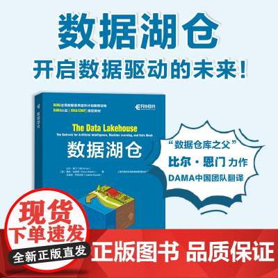 数据湖仓 大数据管理数据仓库数据湖湖仓一体建设数据湖架构数据网格计算机数据分析书籍