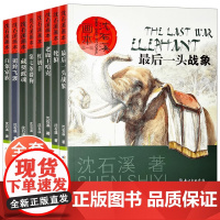 沈石溪动物小说全集正版套装画本第一辑8册的书大全系列儿童文学 最后一头战象小学生四五六年级课外阅读书籍必读经典书目斑羚飞