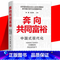 [正版] 《奔向共同富裕》读懂共同富裕 看清未来中国 中国式现代化社会完整论述体系 经济民生通俗理论书籍 湖南人民