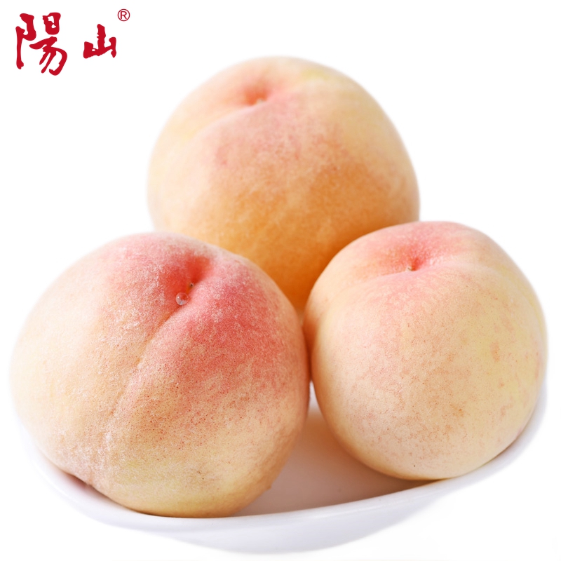 预售的商品参数规格