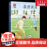 霹雳贝贝 张之路著暖心美读书名师导读彩图版课文配套原著完整版儿童文学名著必小学生三四五六年级课外书阅读寒暑假书目正版