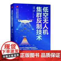 低空无人机集群反制技术