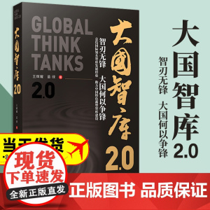 2023新书 大国智库2.0 王辉耀 苗绿著 人民出版社