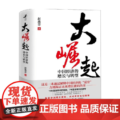 大崛起 中国经济的增长与转型 赵燕菁著 揭示城市空间战略与经济增长问题 探索中国增长逻辑