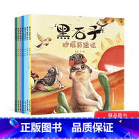 [正版]全7册黑石子环球历险记高山海洋雨林极地岛屿河流沙漠感悟自然自我认知启蒙适合3岁以上上少社童书