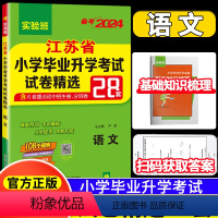 [正版]2024小升初春雨48套考必胜江苏省小学毕业升学考试试卷精选28套卷语文人教版小学生同步练习六年级升初中冲刺训