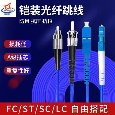 辉宏时代光纤线ST-LC单模双芯铠装光纤跳线防鼠咬抗拉力强防水光缆电信级3米