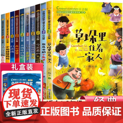 中国当代获奖儿童文学作家书系 一二三年级阅读语文必读的课外书籍老师经典适合小学生故事上册下学期读物6-7-8岁以上12注