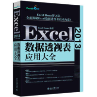 音像Excel 2013数据透视表应用大全Excel Home