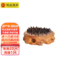 宫品海参淡干单只海参4-4.5cm 1只 每满20只赠1只国产生鲜袋装