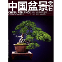 正版新书]中国盆景赏石-2012-2本社9787503864827