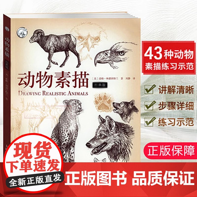 动物素描版 动物素描速写手绘绘画步骤示范技法教学动物素描素材临摹 描初学基础入门怎么样画动物素描教程教材西方经典技法