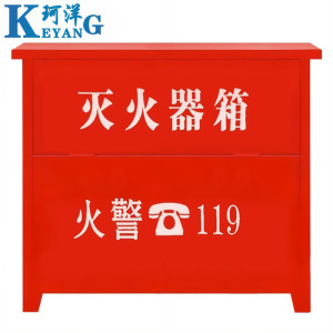 珂洋 灭火器箱 5KG*4 个