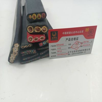 金电石 耐寒扁电缆 YFFB 10*2.5 米