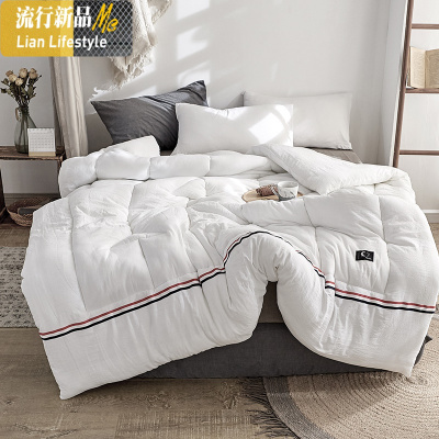 大豆纤维被子冬被加厚保暖春秋被芯棉被单人四季通用 三维工匠