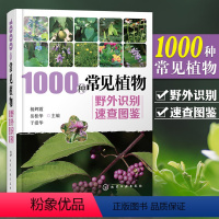 [正版] 1000种常见植物野外识别速查图鉴 野外植物识别手册药用植物生态学园艺植物栽培学图谱原植物分类自然鉴别图册与
