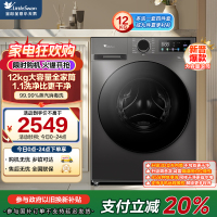小天鹅(LittleSwan)12KG大容量变频全自动滚筒洗衣机 节能省电蒸汽消毒洗 一级能效 TG120V098WDT
