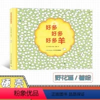[正版]好多好多好多羊 野花遥 注意力专注力训练书 游戏绘本 锻炼逻辑思维 儿童绘本 视觉大侦探大发现 精装硬壳儿童读