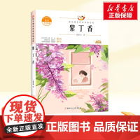 紫丁香 二年级下册人教版教材同步阅读语文课本作家作品系列老师正版经典书目寒暑假儿童文学作品读物小学生故事书
