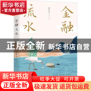正版 金融流水 龚文宣 中国文史出版社 9787520528320 书籍