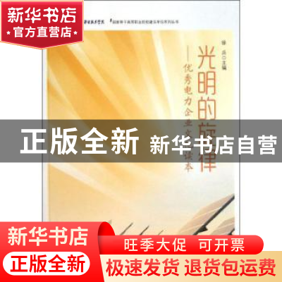正版 光明的旋律:优秀电力企业文化读本 徐兵主编 合肥工业大学出