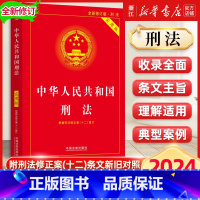 2024新版中华人民共和国刑法实用版 第十版 [正版]2024新版中华人民共和国刑法实用版 第十版 根据刑法修正案十二全