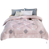 安居先森超柔磨毛金牌云丝被冬被单人150*200cm 1900g D2028(条)