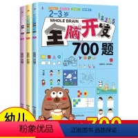 [正版]全套3册 2-3岁儿童潜能全脑700题 全书幼儿宝宝左右脑开发书大脑智力逻辑思维训练早教书籍幼儿园益智启蒙专注