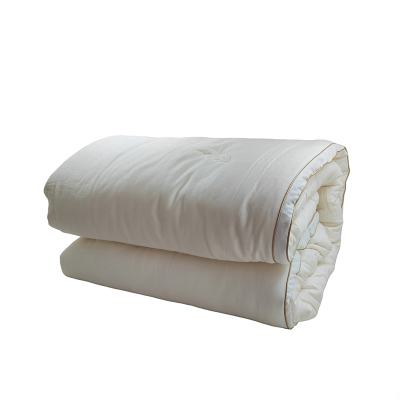 泰戈雅 大豆纤维被 TGY-062 张