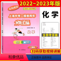 化学 九年级/初中三年级 [正版]2022-2023走向成功上海中考二模卷两年分类汇编化学精准分类专项提高 上海中考二模