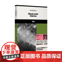 梦宫 伊斯玛依尔·卡达莱 著 小说