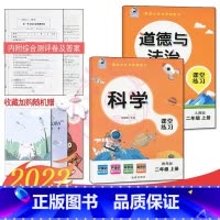 [正版]2024课堂练习家庭作业2二年级上册教科版科学+人教版道德与法治同步练习册课时单元知识梳理专项训练同步训练天天