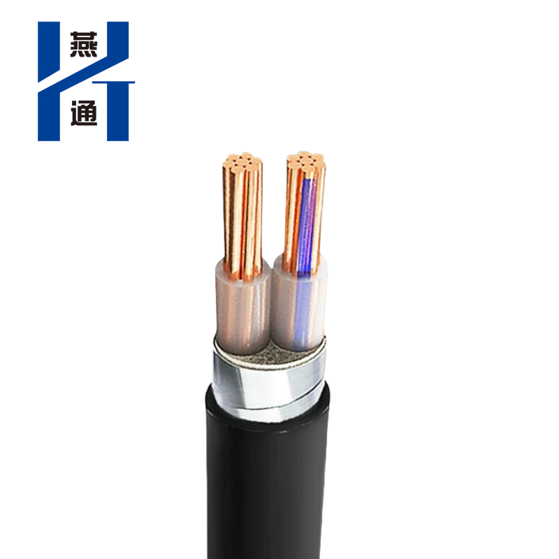 燕通 WDZ-YJV23低烟无卤阻燃铠装线 0.6/1KV-WDZ-YJV23 2*6平方/米