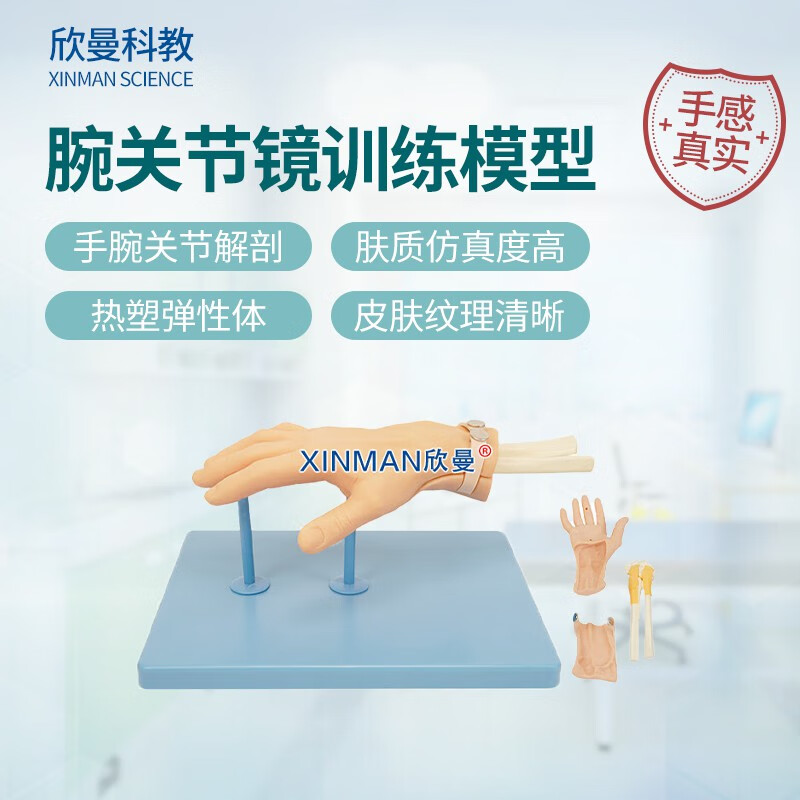 欣曼科教 腕关节镜检查操作训练模型 腕关节解剖模型XM-WL108