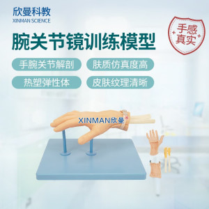 欣曼科教 腕关节镜检查操作训练模型 腕关节解剖模型XM-WL108