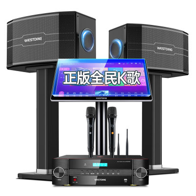 威斯汀 家庭ktv音响套装点歌机一体KTV唱歌全套设备K歌影院客厅卡拉OK音箱118四分频七单元+全新393一体机