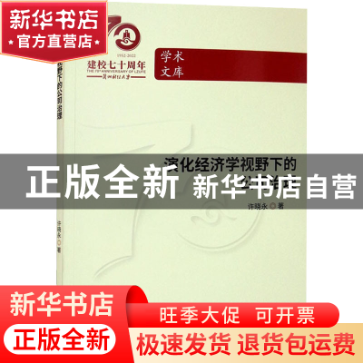 正版 演化经济学视野下的公司治理 许晓永 中国财政经济出版社 97