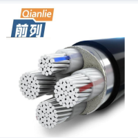 前列 铝芯交联电缆YJLV-0.6/1KV-3×95+1×50mm² 米