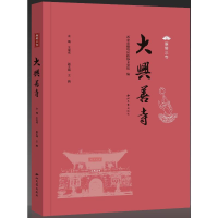 音像大兴善寺王宝成