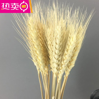 2021干花花束开业大麦插花篮田园装饰拍摄道具金黄色小麦FENGHOU白色1千支