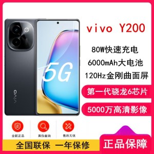 [全新]vivo Y200 皓夜 12GB+256GB 骁龙6 5G芯 6000mAh电池80W充电 5000万高清影像 44W闪充 5G 手机