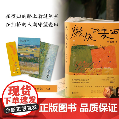 燃烧的麦田(在夜归的路上看过星星,在拥挤的人潮守望麦田。一代城乡人的梦想 韩浩月 江苏凤凰文艺出版社 正版书籍