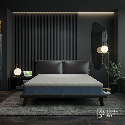 自适应软硬可调节智能床垫ZERO