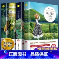 [全套4册]绿山墙的安妮+柳林风声+绿野仙踪+木偶奇遇记 [正版]柳林风声书 原版小学生课外阅读书籍三四五六年级阅读经典