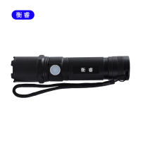 衡睿 应急照明灯手电 HR7301 个