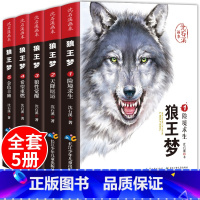沈石溪画本 · 狼王梦(全套5册) [正版]抖音同款狼王梦沈石溪画本套装5册动物小说全集十大经典必读品藏书系 四年级五年