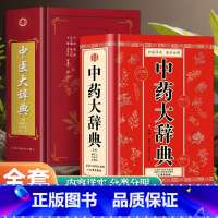 中药+中医大辞典 [正版]中医大辞典中药大辞典 中医学词典中药学速查大词典 中医药医学工具书字典 中医基础理论医药医学书